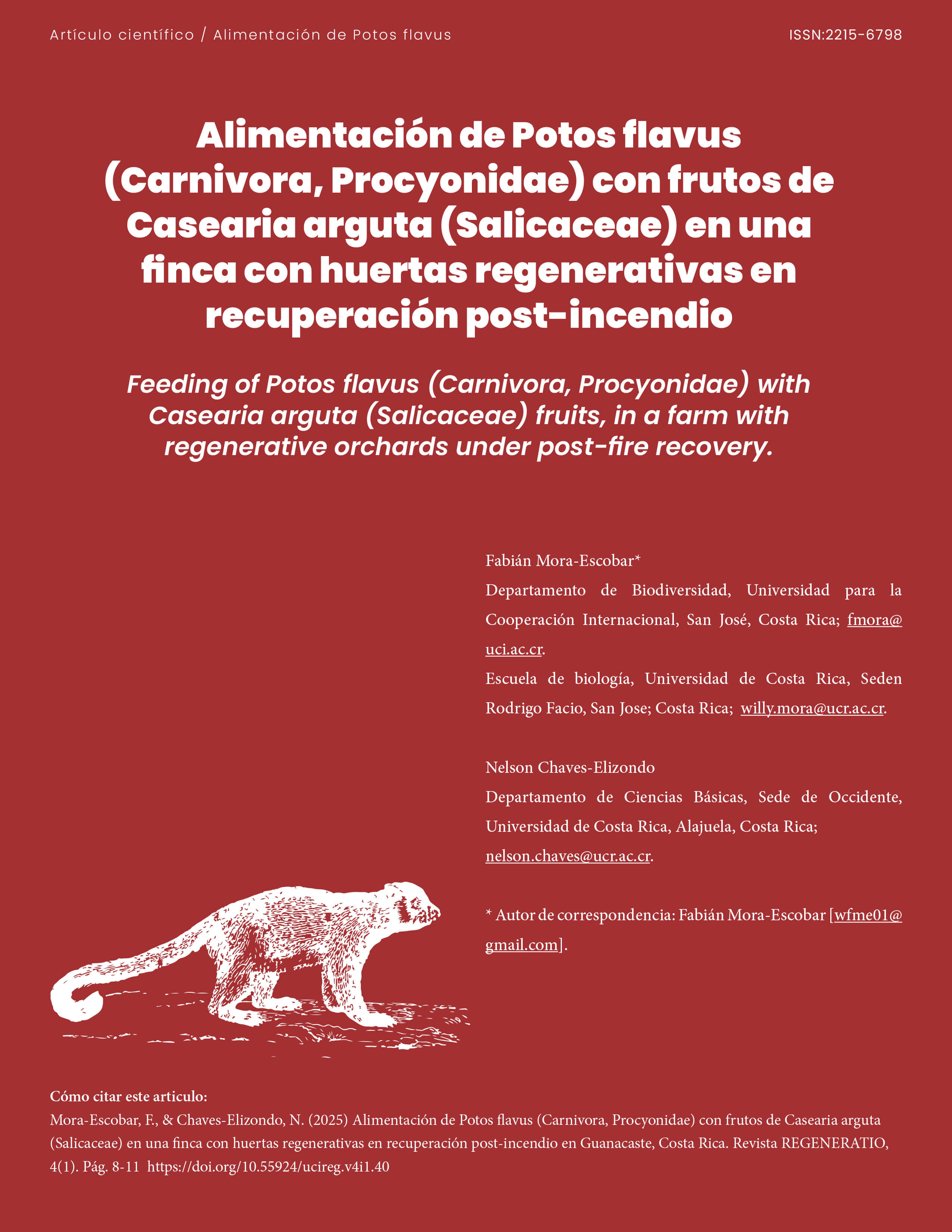 Alimentación de potos flavus
